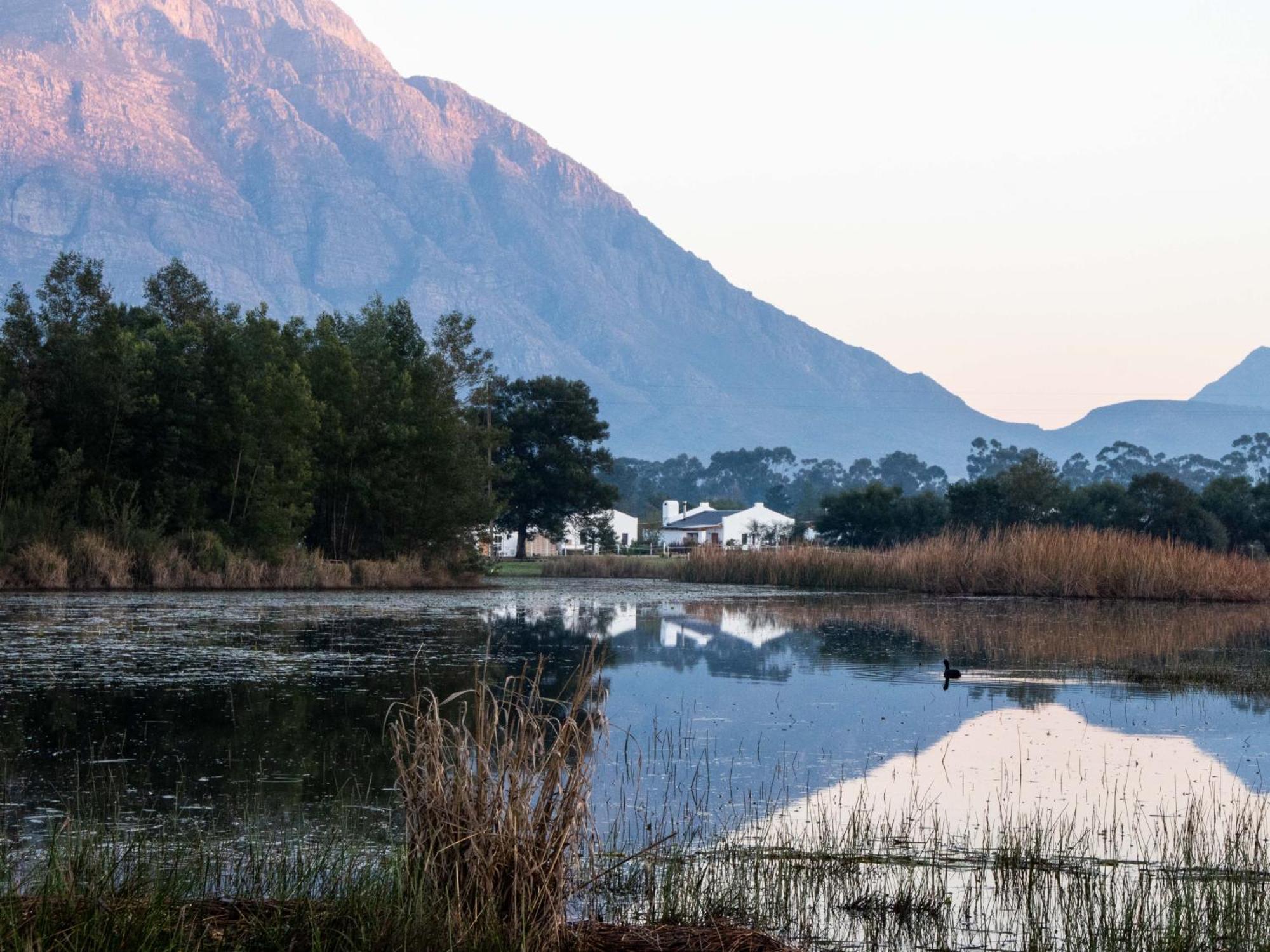 Duikersdrift Winelands Country Escape Hotel ทุลบักห์ ภายนอก รูปภาพ